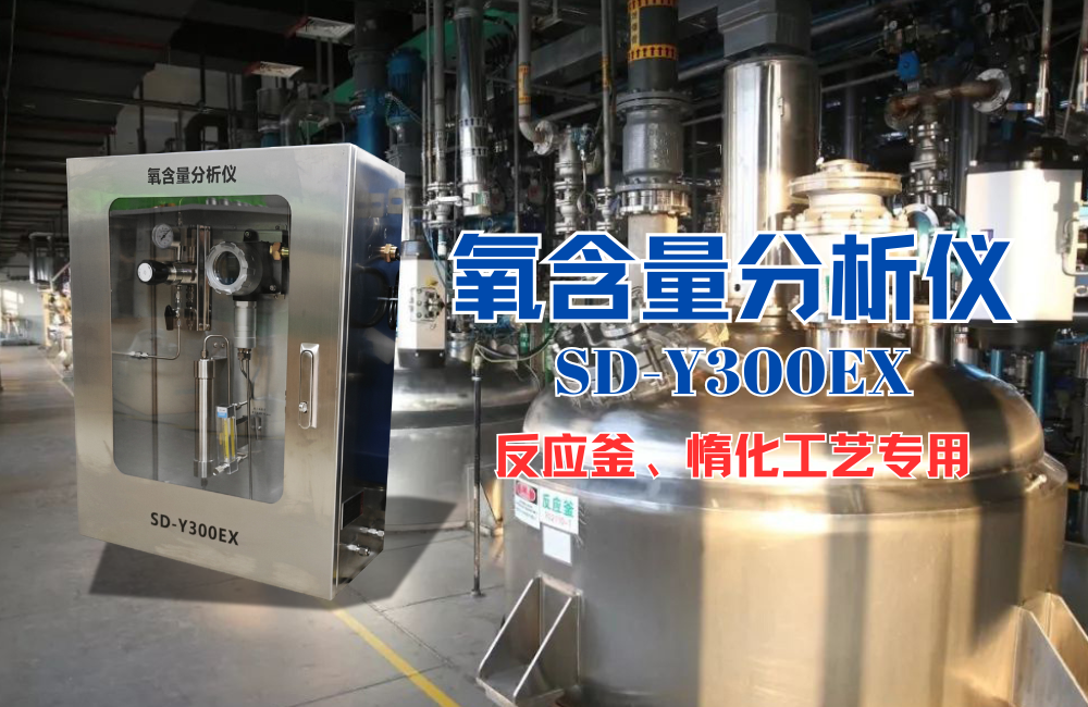 氧含量分析儀精確監(jiān)測：保障反應釜安全與工藝穩(wěn)定的核心舉措.png